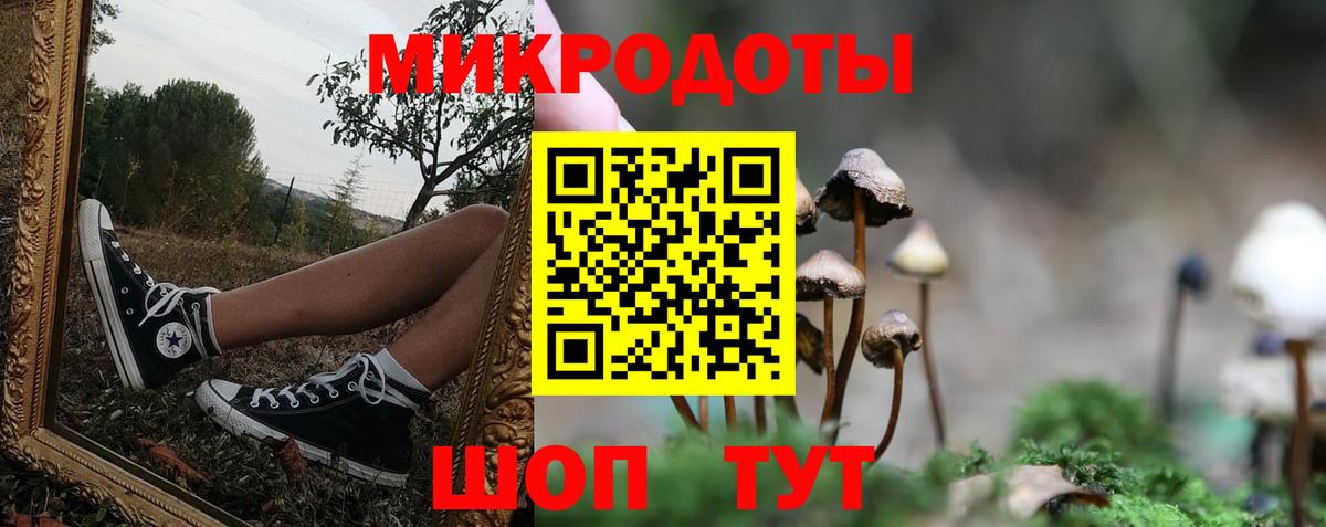 Псилоцибиновые грибы Cubensis  Вход с VPN  Губаха 