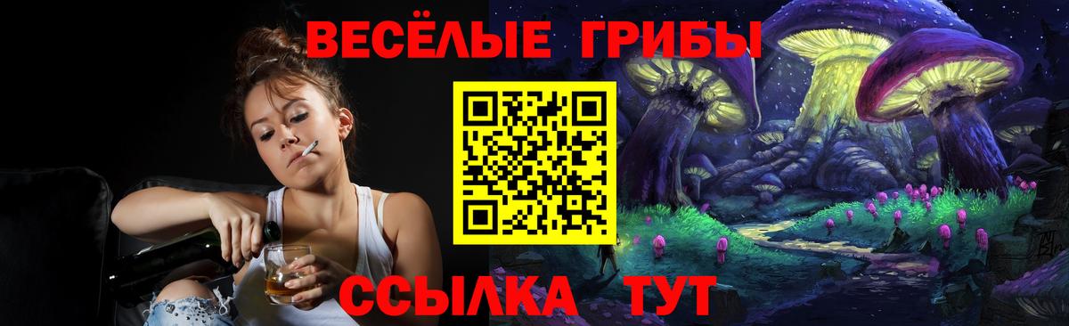 Псилоцибиновые грибы Cubensis Губаха
